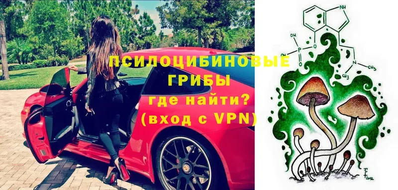 Галлюциногенные грибы Psilocybe  mega   это Telegram  Белозерск 